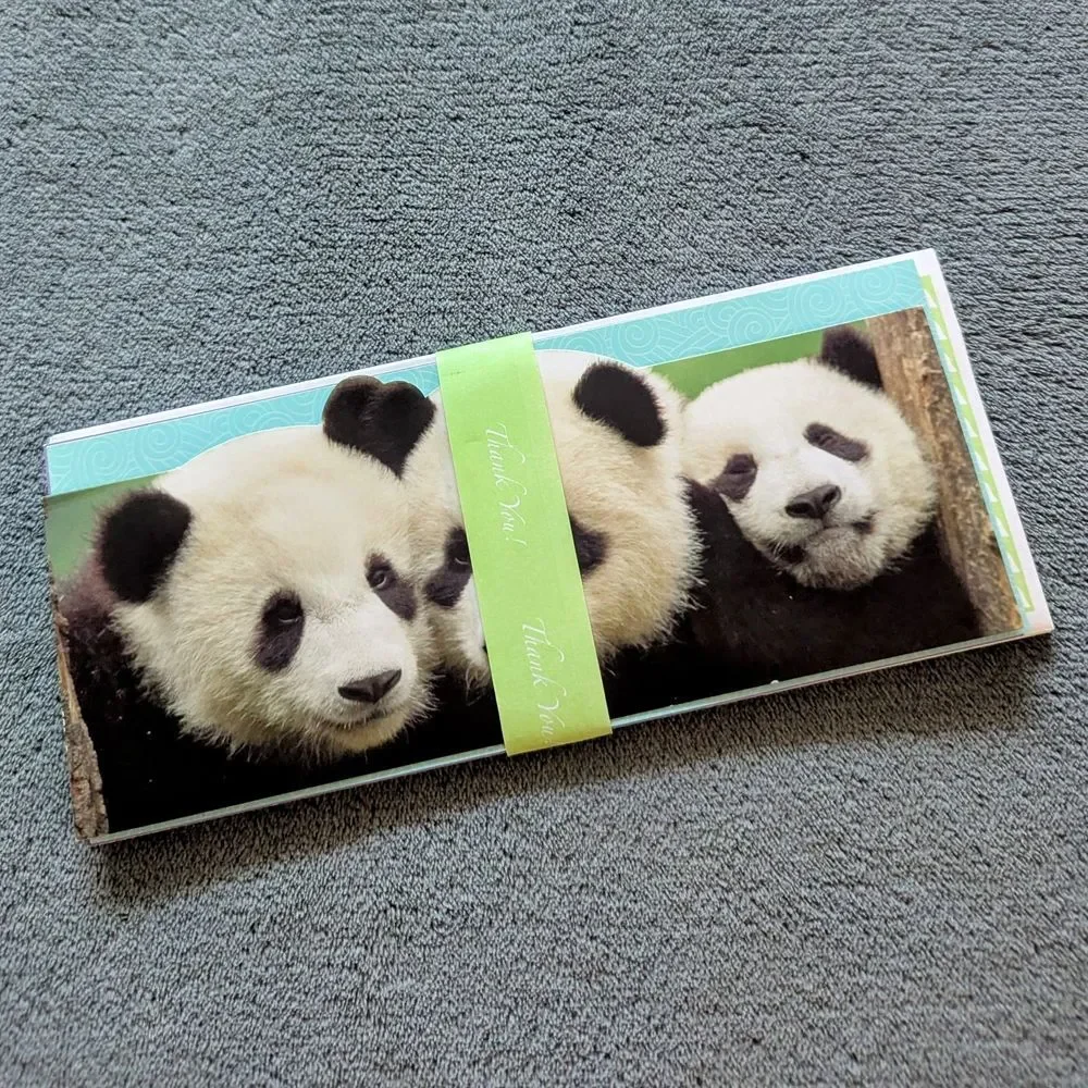 Colorful Animal Themed Greeting Cards - Set Of 5 plus Envelopes